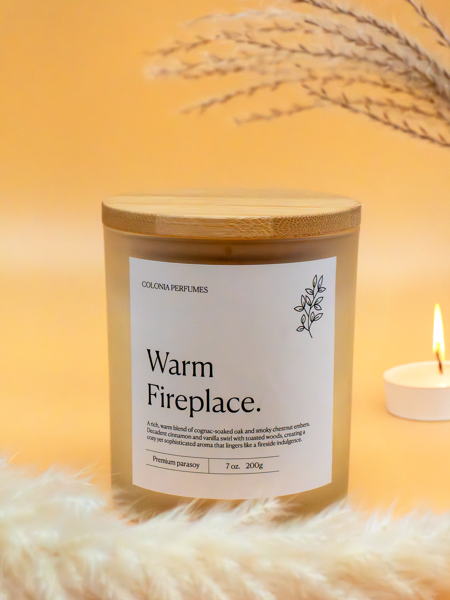 Warm Fireplace